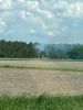 Brandeinsatz